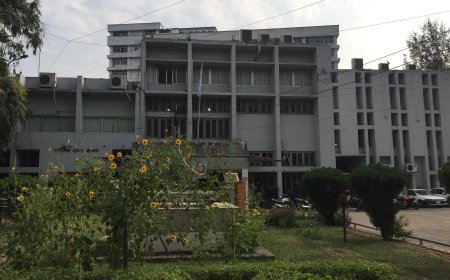 রবীন্দ্র ঋষি হত্যা ও পীরগঞ্জ হামলার বিচার দাবি সনাতন পার্টির