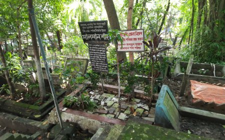 সালমান শাহ হত্যা মামলায় ডনের জামিন দ্বিতীয়বার নাকচ