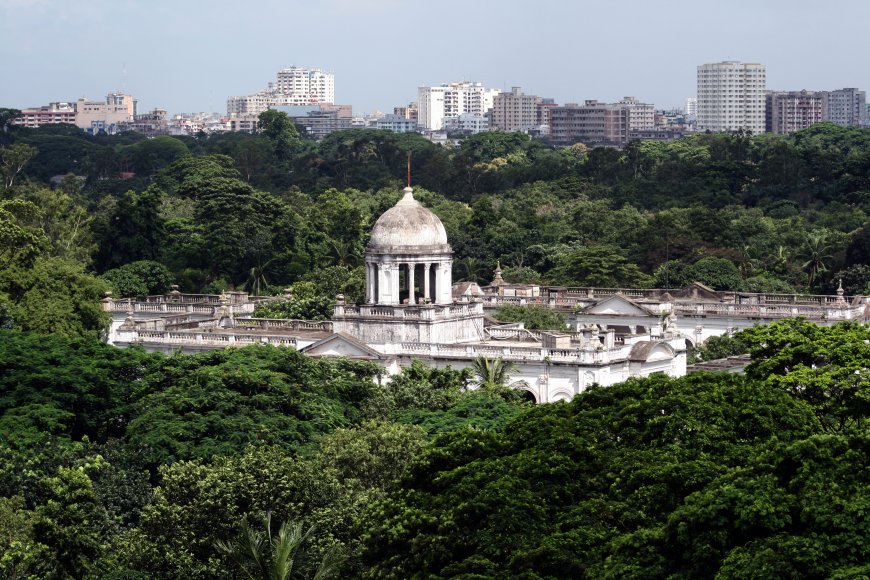 নিউ গিনি হামলা মামলায় অবসরপ্রাপ্ত মেজর জেনারেল মহিউদ্দিন চৌধুরী জামিন পেলেন